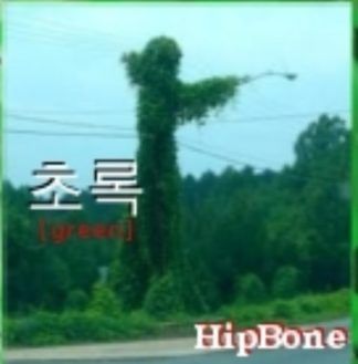 Hipbone Cho-Rok