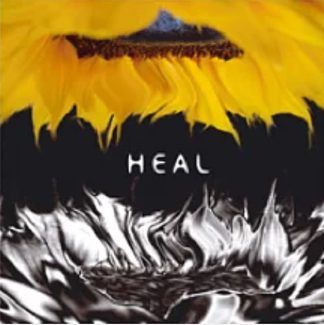 Heal Starting Back