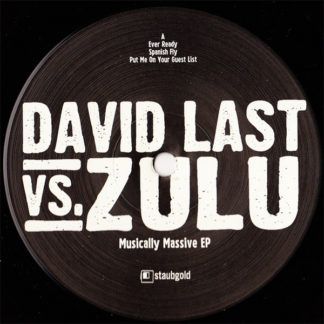 David Last Zulu Musically Massive
