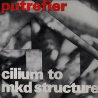 Putrefier Cilium To MKD Structure