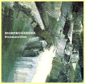 Morphogenesis Stromatolites