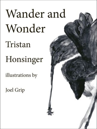Tristan Honsinger Wander And Wonder