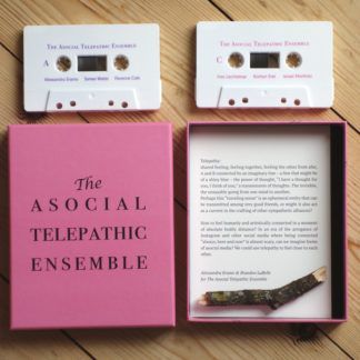 The Asocial Telepathic Ensemble